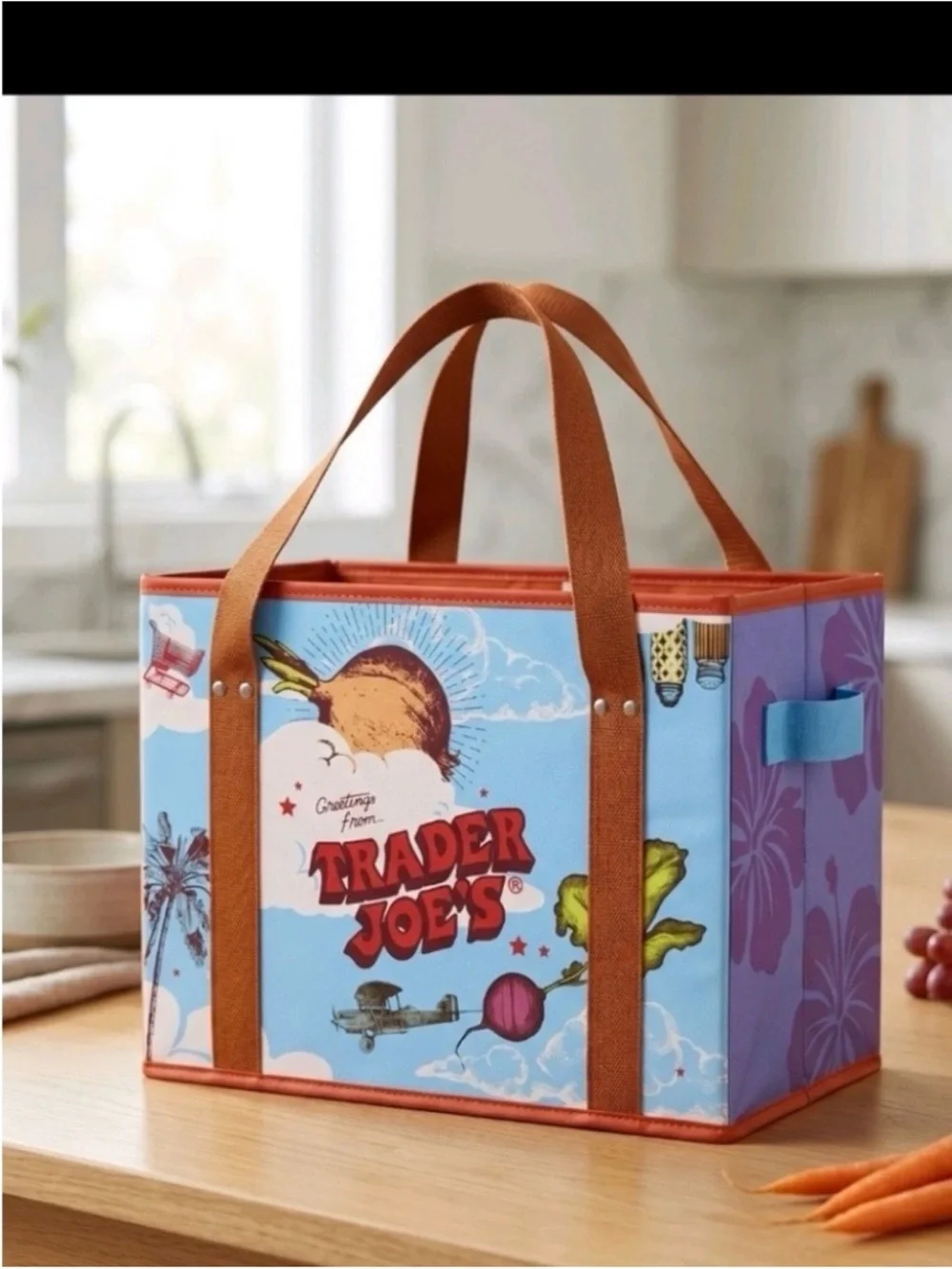 Trader Joe's Stand-Up Collapsible Grocery Tote Bag new